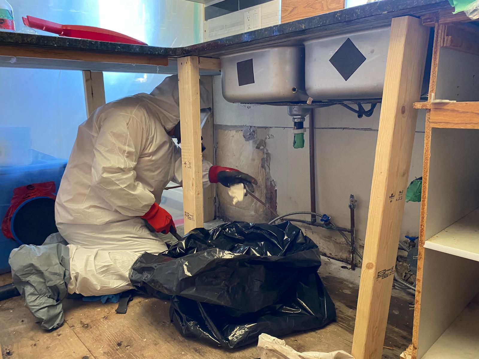 Mold Remediation